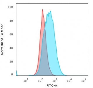Flow cytometry testing of human Raji cells with HLA-DPB1 antibody (clone SPM421); Red=isotype contro