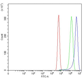 Flow cytometry testing of human U-87 MG cells with ADAM8 antibody at 1ug/million cells (blocked with