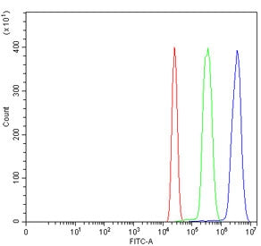 Flow cytometry testing of human HL60 cells with MRE11 antibody at 1ug/million cells (blocked with go