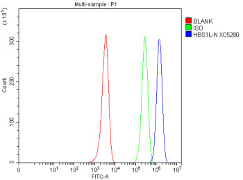 Flow Cytometry analysis of HEL cells using anti-HBS1L antibody. Overlay histogram showing HEL cells 