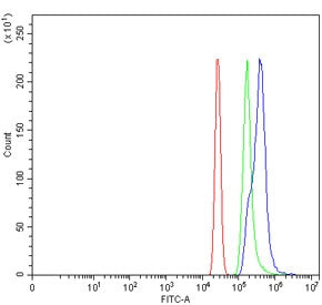 Flow cytometry testing of human HL60 cells with WDR46 antibody at 1ug/million cells (blocked with go