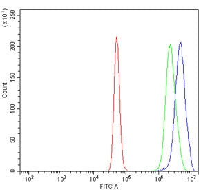 AGO1 Antibody / Argonaute 1
