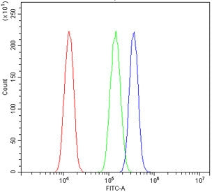 c-Fos Antibody