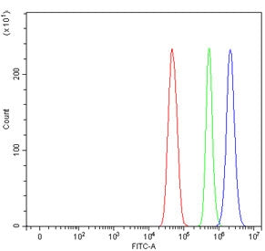 MED17 Antibody / ARC77 / Trap80