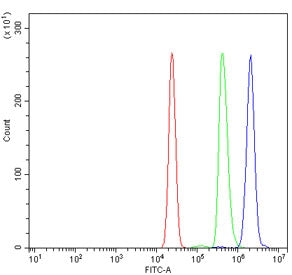 Flow cytometry testing of human U937 cells with CENPI antibody at 1ug/million cells (blocked with go