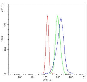 MAT2B Antibody / TGR