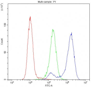 Cytochrome C Antibody