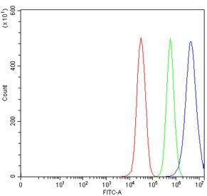 Epoxide hydrolase Antibody / EPHX1