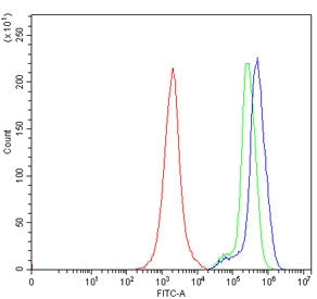 GAS2 Antibody / Growth arrest-specific protein 2