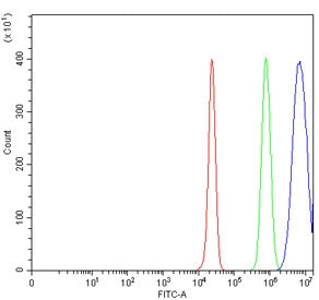 Flow cytometry testing of human HepG2 cells with ICAM1 antibody at 1ug/million cells (blocked with g