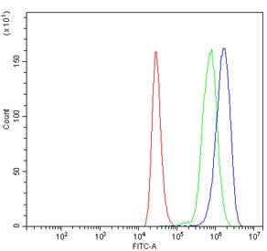 c-Myc Antibody