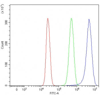 RHBDF2 Antibody / iRhom2