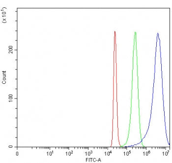 Flow cytometry testing of fixed and permeabilized human 293T cells with NARF antibody at 1ug/million