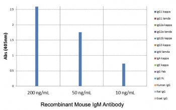IgM Heavy Chain Antibody