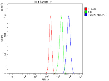 Flow Cytometry analysis of cells using anti-PYCR3 antibody. Overlay histogram showing cells stained 