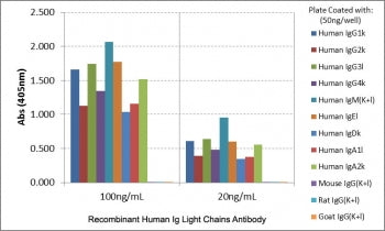 ELISA of human immunoglobulins shows recombinant Human Ig Light Chains antibody reacts to both kappa