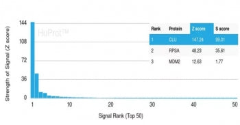 Analysis of HuProt(TM) microarray containing more than 19,000 full-length human proteins using Clust