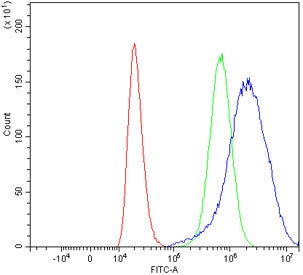SLC5A8 Antibody / Sodium-coupled monocarboxylate transporter 1