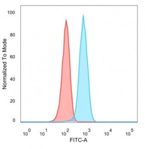 Lactoferrin Antibody / LTF