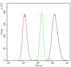 MBD1 Antibody