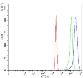 Flow cytometry testing of human K562 cells with BAG2 antibody at 1ug/million cells (blocked with goa