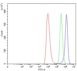 TREML2 Antibody / Trem-like transcript 2 protein