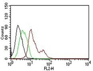 FACS testing of human MCF-7: Black=cells alone; Green=isotype control; Red= PE conjugated Estrogen R