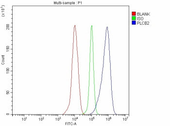 Flow Cytometry analysis of THP-1 cells using anti-PLCB2 antibody. Overlay histogram showing THP-1 ce
