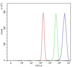 MLX Antibody / Max-like protein X