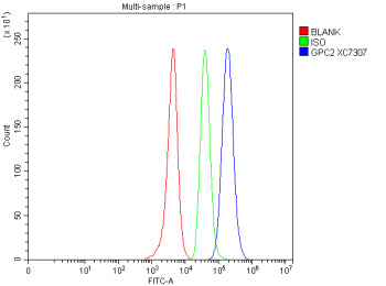 Flow Cytometry analysis of SH-SY5Y cells using anti-GPC2 antibody. Overlay histogram showing SH-SY5Y