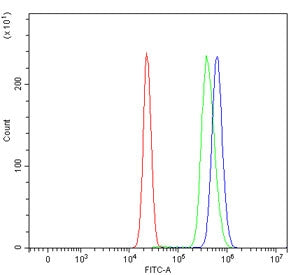 Flow cytometry testing of human HepG2 cells with PDCD4 antibody at 1ug/million cells (blocked with g