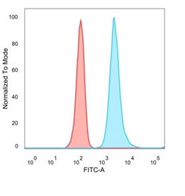 NOC4L Antibody