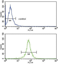 Flow cytometry testing of human HepG2 cells with DCN antibody; Blue=isotype control, Green= DCN anti