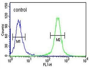 HSP90B1 Antibody / GRP94