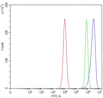 Flow cytometry testing of fixed and permeabilized human PC-3 cells with Angulin-2 antibody at 1ug/million cells (blocked with goat sera); Red=cells alone, Green=isotype control, Blue= Angulin-2 antibody.