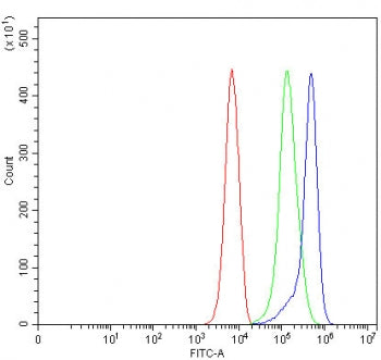 Flow cytometry testing of human K562 cells with SLMAP antibody at 1ug/million cells (blocked with go