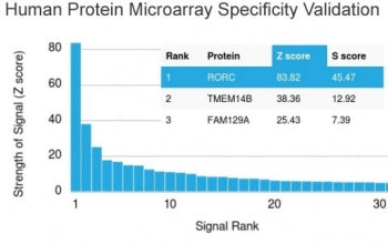 Analysis of HuProt(TM) microarray containing more than 19,000 full-length human proteins using RORC 