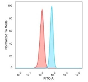 MBD3 Antibody