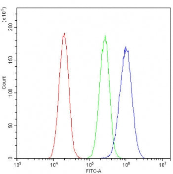 ROBO1 Antibody