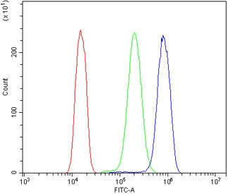 EPS15 Antibody / Epidermal growth factor receptor substrate 15