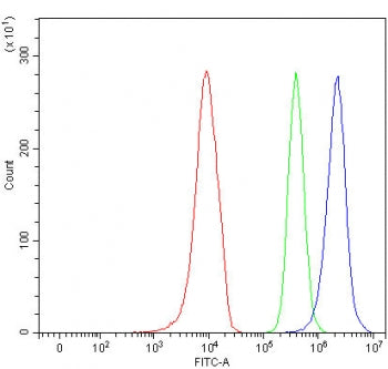 Flow cytometry testing of human 293T cells with SLC17A4 antibody at 1ug/million cells (blocked with 
