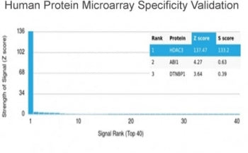 HDAC3 Antibody