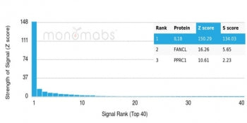 Analysis of a HuProt(TM) microarray containing more than 19,000 full-length human proteins using IL-
