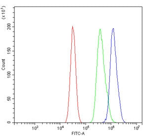 Flow cytometry testing of mouse HEPA1-6 cells with Tlr6 antibody at 1ug/million cells (blocked with 