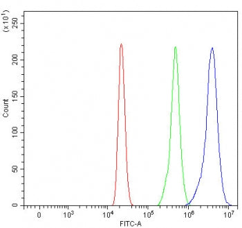 Flow cytometry testing of human HL60 cells with Myeloperoxidase antibody at 1ug/million cells (block