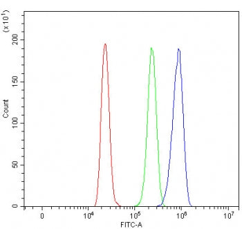 Flow cytometry testing of human HL60 cells with RASAL2 antibody at 1ug/million cells (blocked with g