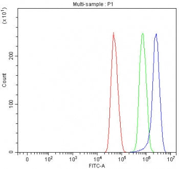 Flow cytometry testing of human U-251 cells with TTI2 antibody at 1ug/million cells (blocked with go