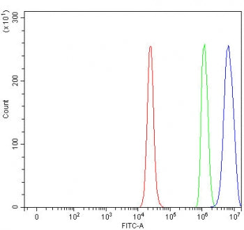 PSD3 Antibody / PH and SEC7 domain-containing protein 3