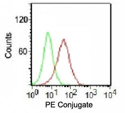 Ku70 + Ku80 Antibody
