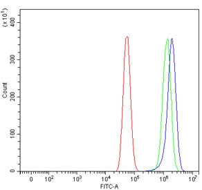 NDUFA8 Antibody